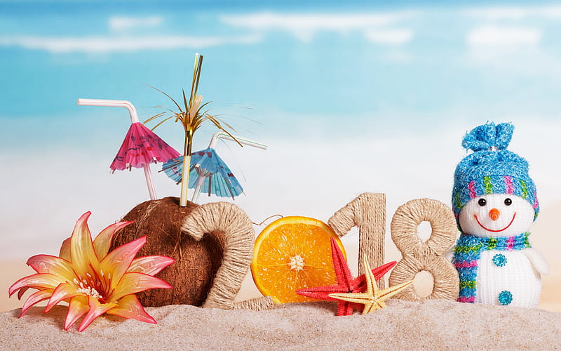 Happy New Year 2018, snowman, beach, Christmas, New Year 2018, xmas, HD wallpaper