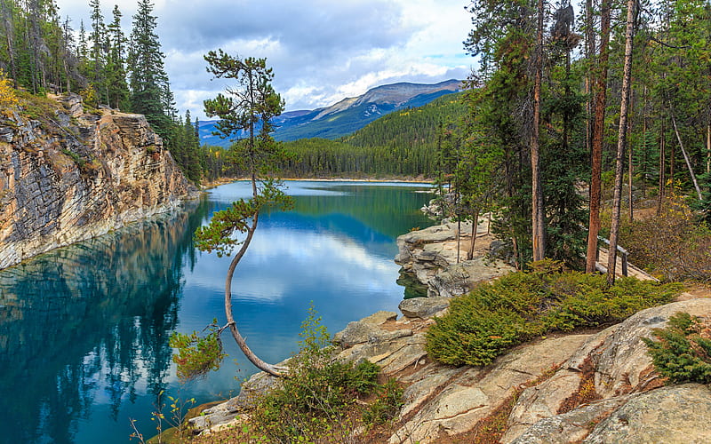 Horseshoe Lake, Alberta, forest, mountain landscape, Canada, HD wallpaper