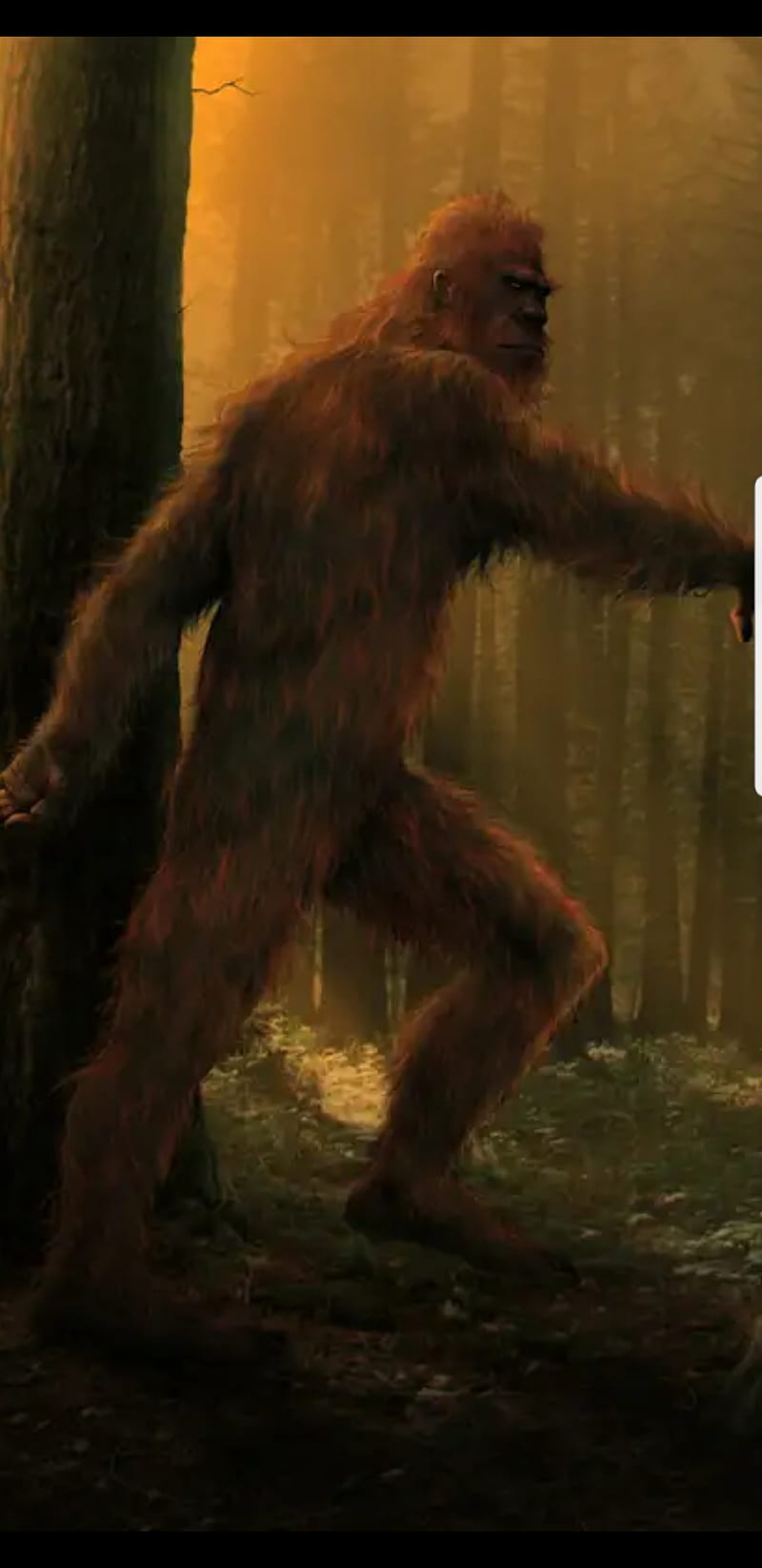 Bigfoot, sasquatch, yetti, HD phone wallpaper