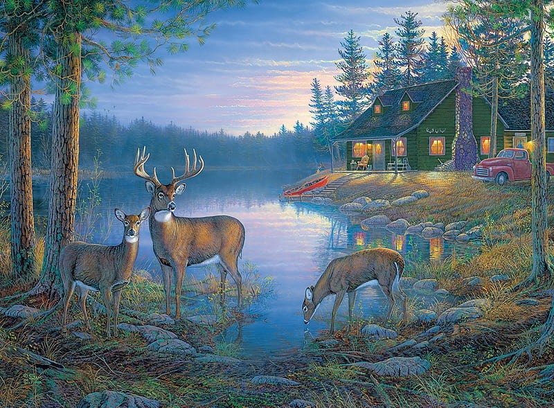 Deer Lake, doe, cabin, buck, lake, HD wallpaper