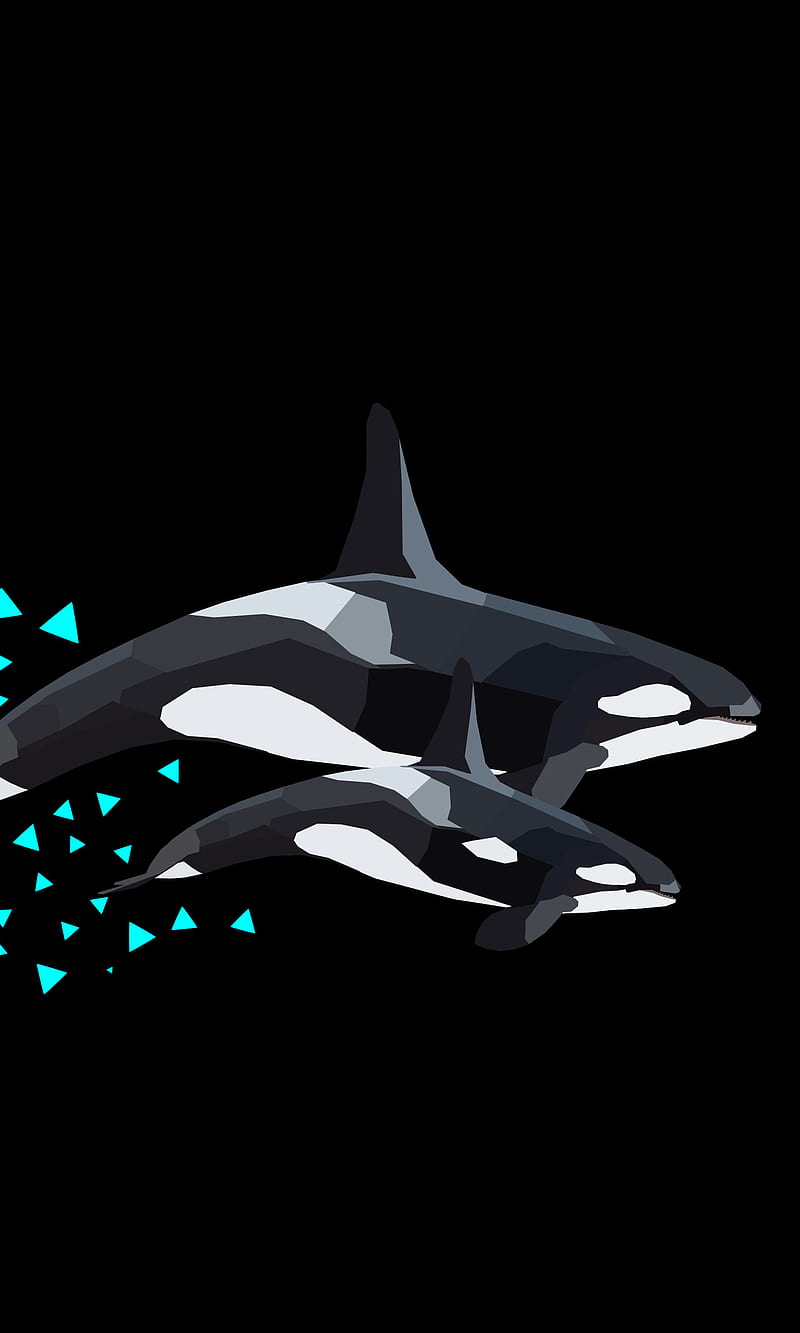 lowPolyWhales, black and white, cartoon, cool, creative, fish, killer whale, killer whales, lowpoly, swimming, whale, HD phone wallpaper