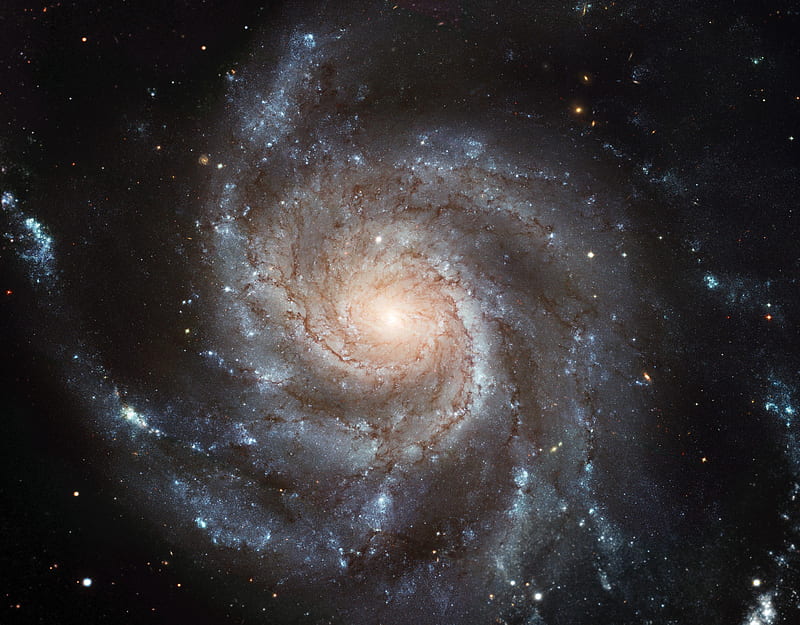 galaxy, pinwheel galaxy, spiral, messier, stars, space, astronomy, shine, HD wallpaper