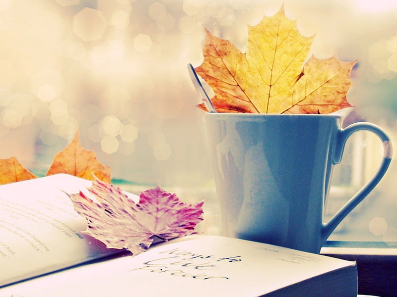 AUTUMN MEMOIRS, fall, autumn, books, crockery, notebook, seasons, still life, leaves, cups, HD wallpaper