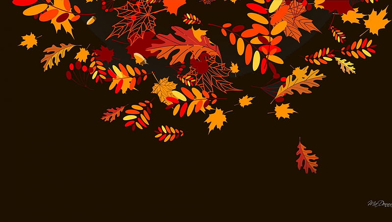 Leaves A Falling, fall, autumn, maple, bright, mountain ash, black, oak, abstract, HD wallpaper