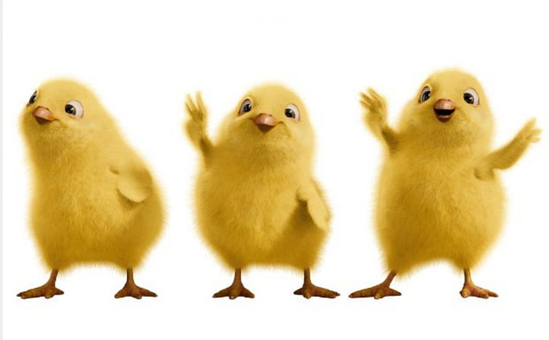 Hop (2011), movie, chicken, hop, yellow, easter, phil, cute, bird, white, HD wallpaper