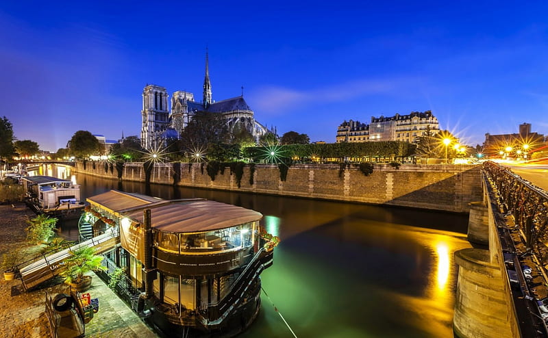 Notre Dame de Paris, place, lights, travel, HD wallpaper