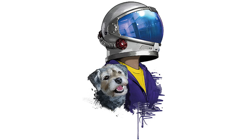 Rider Helmet Dog Minimal , biker, artist, artwork, digital-art, HD wallpaper