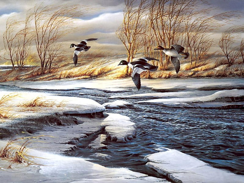 Terry Redlin, art, animal, fly, bird, snow, painting, nature, river, HD ...
