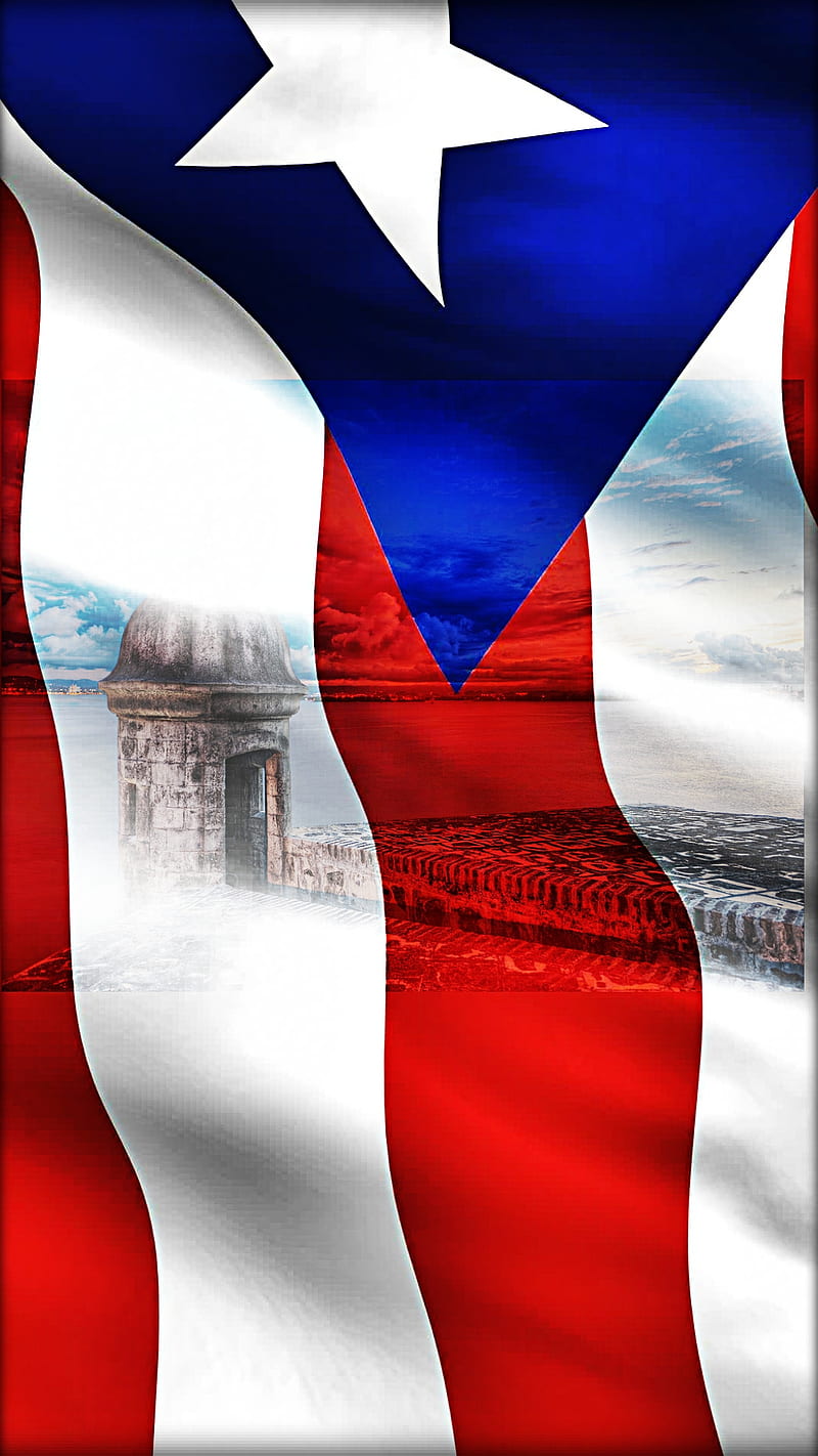 Puerto Rico Flag boricua borinquen coqui isla del encanto salsa sun  taino HD phone wallpaper  Peakpx