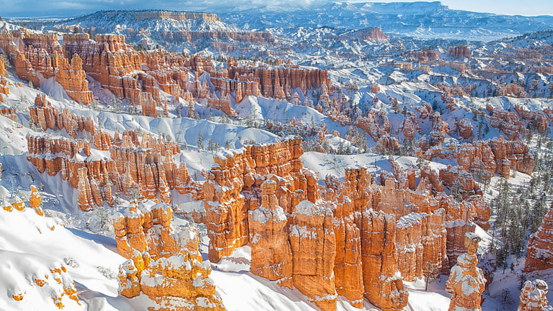 Bryce Canyon, Canyon, Hoodoos, snow, winter, HD wallpaper