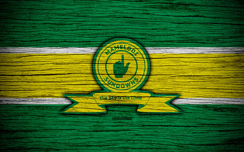FC Mamelodi Sundowns wooden texture, South African Premier League, soccer, Mamelodi Sundowns, South Africa, football, Mamelodi Sundowns FC, HD wallpaper