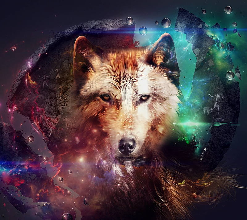 wolf, nice, blue, color, epic, HD wallpaper