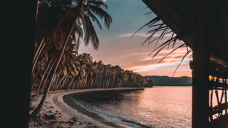 sea, beach, palm trees, sunset, tropics, HD wallpaper