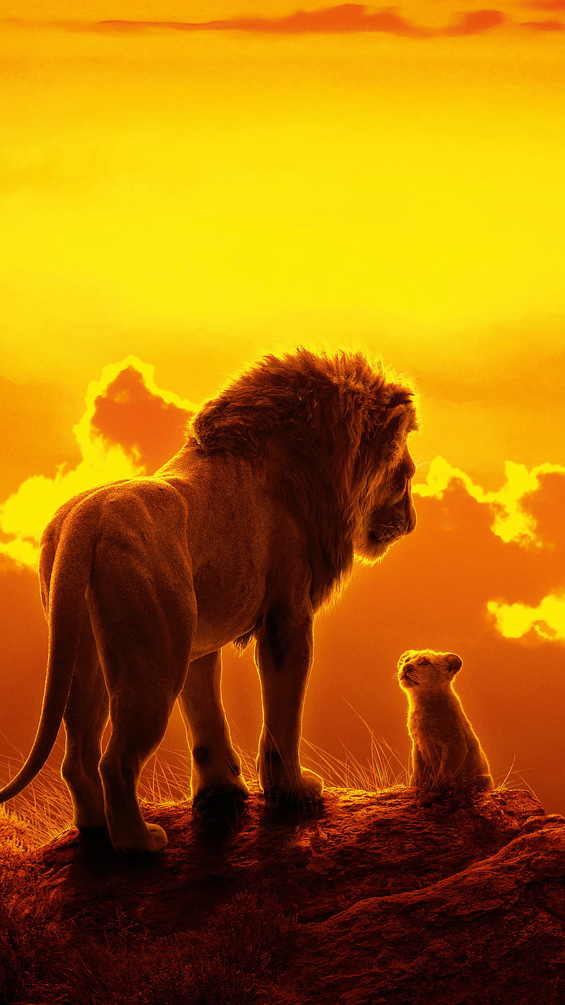 The lion king movie, disney, simba, animal, cub, HD phone wallpaper | Peakpx