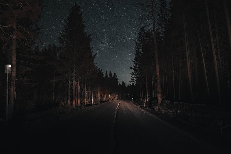 starry sky, road, night, mood, light, trees, scenic, Landscape, HD wallpaper