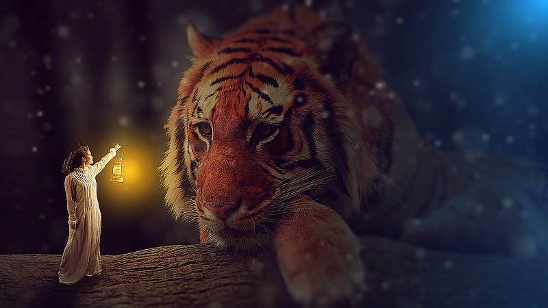 Your Safe With Me, Tiger, Fairy, Safe, Eyes, HD wallpaper