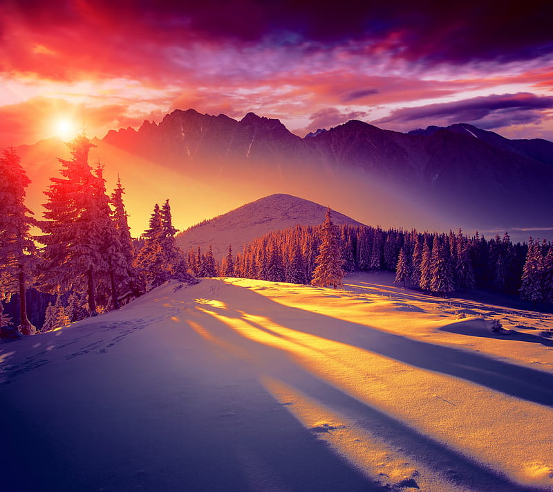 sunset winter, forest, mountains, new, season, snow, sun, HD wallpaper