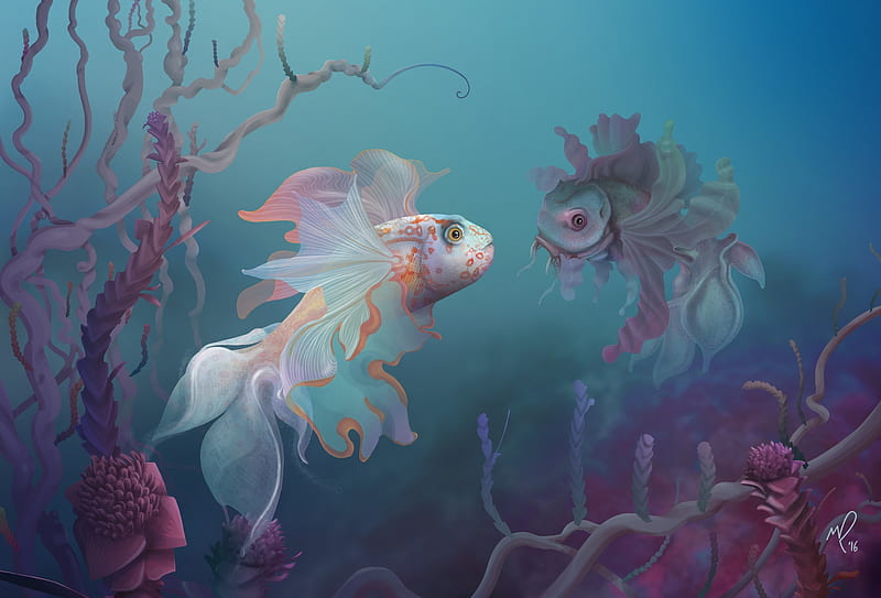 Chating fish, underwater, fantasy, luminos, fish, marc roux, summer, pink, blue, vara, HD wallpaper