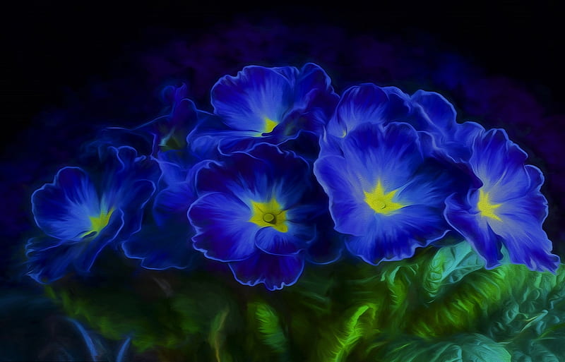 Primrose Bouquet, flowers, Blue, bouquet, primrose, HD wallpaper