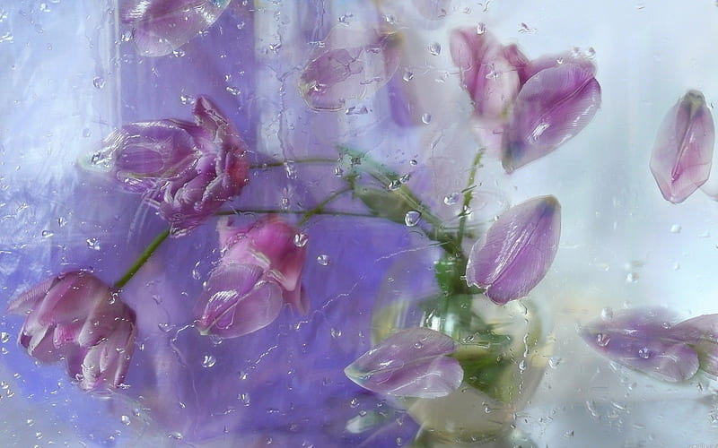 🔥sold🔥These purple rain shades are so special! Purple Rain