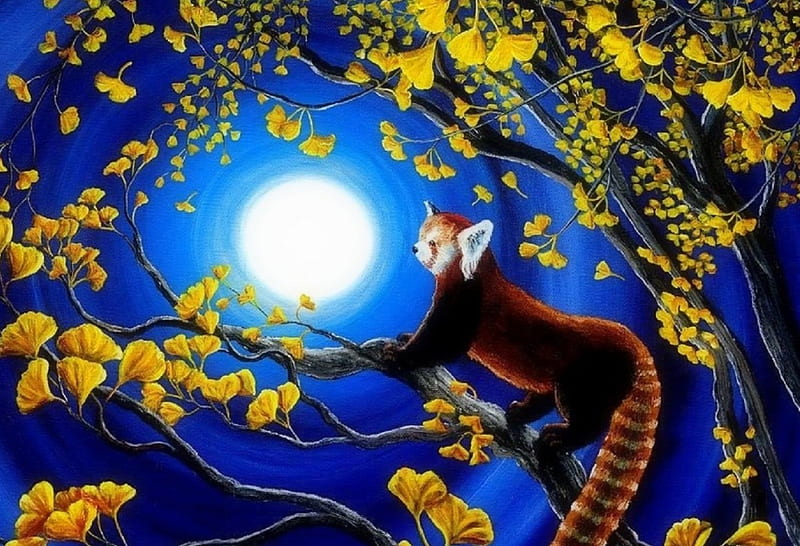 Red Panda in Gingko Tree, moons, paintings, red panda, draw and paint,  gingko tree, HD wallpaper | Peakpx