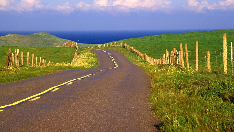 road among pastures down to the sea, fence, grass, pastures, road, sea, HD wallpaper