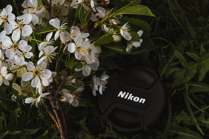 Black Nikon Dslr Camera Lens Cover Near White Petaled Flowers, HD wallpaper