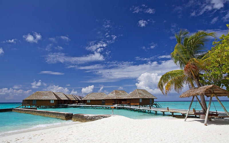 Summer, sea, Maldives, bungalows, beach, palms, tropical islands, HD wallpaper