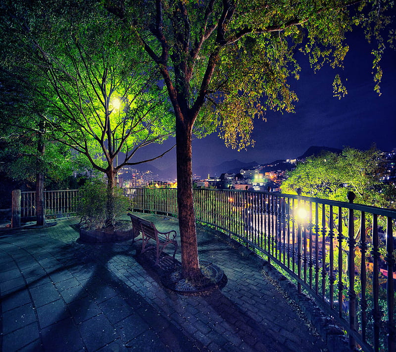 City night Trees, good, look, HD wallpaper