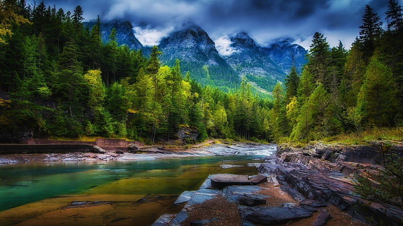 beautiful forest stream r, forest, stream, rocks, mountains, banks, r, HD wallpaper
