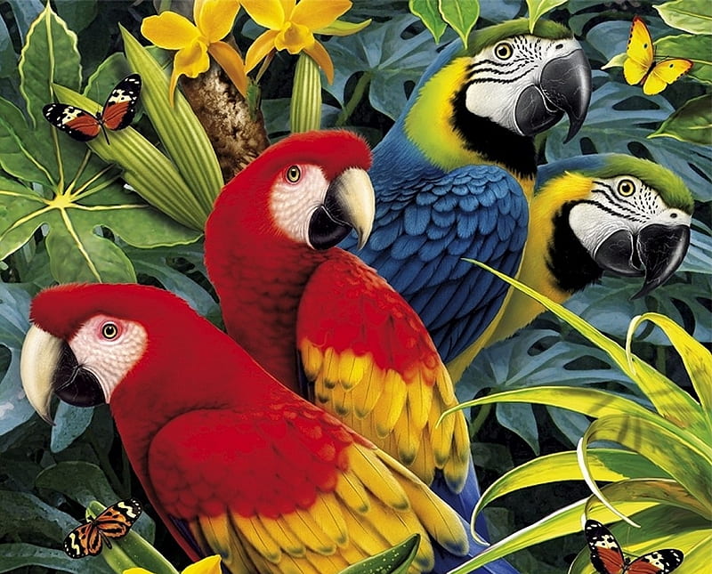 Parrots, red, art, luminos, pasare, yellow, parrot, ara, fantasy ...