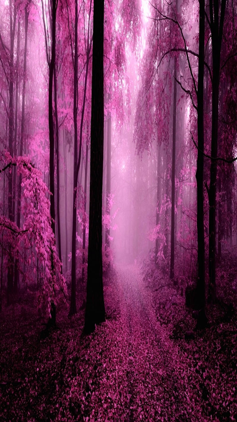 pink nature, awesome, cool, cute, nice, trees, view, HD phone wallpaper
