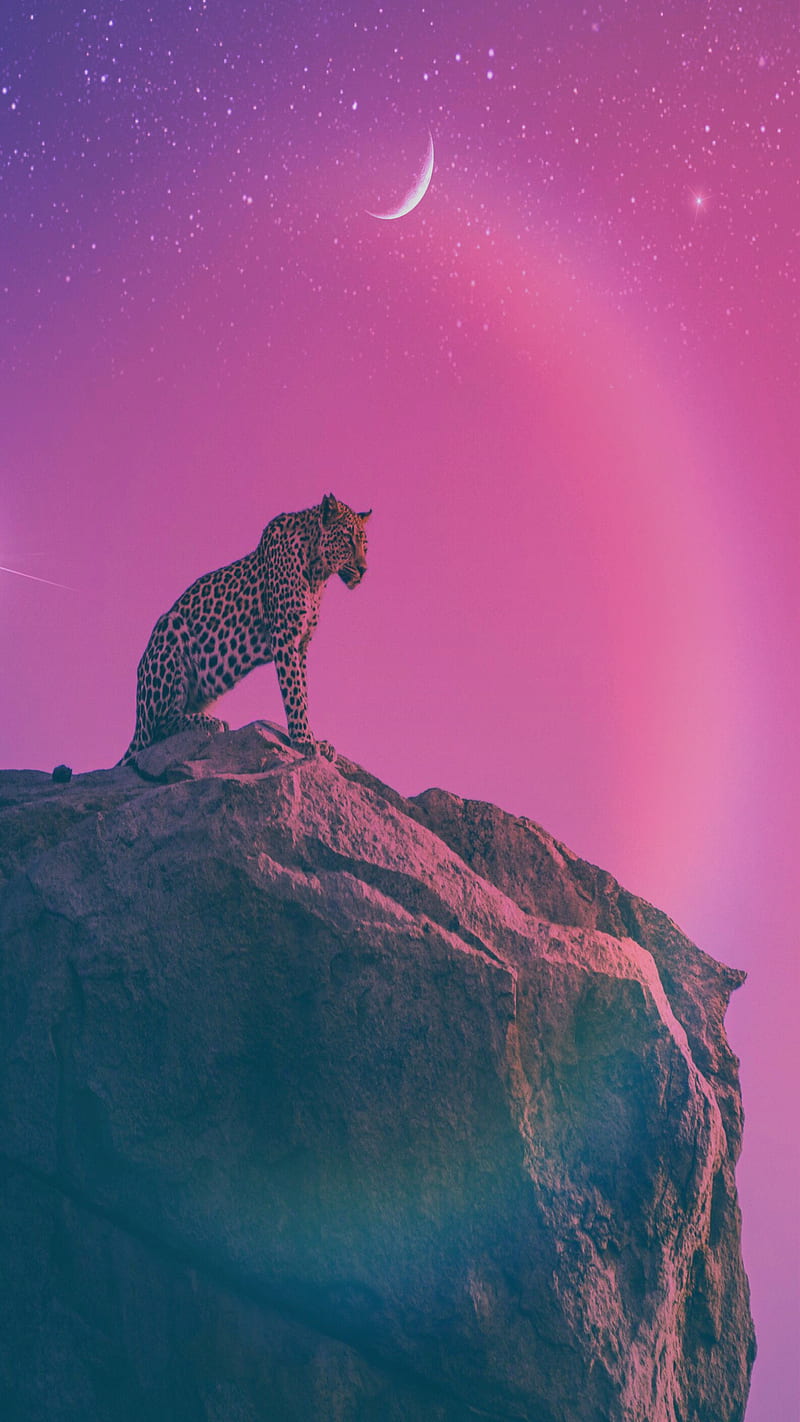 Wild, Cajuca, color, colorful, jaguar, onca, pink, psicodelia, psicodelia, trippy, vibes, HD phone wallpaper