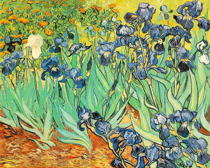 Vincent Van Gogh, art, beautyfull, painting, flowers, irises, nature, HD wallpaper
