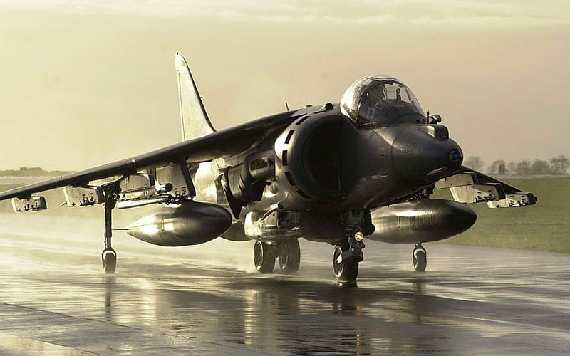 RAF Harrier Aircraft-Military aircraft, HD wallpaper