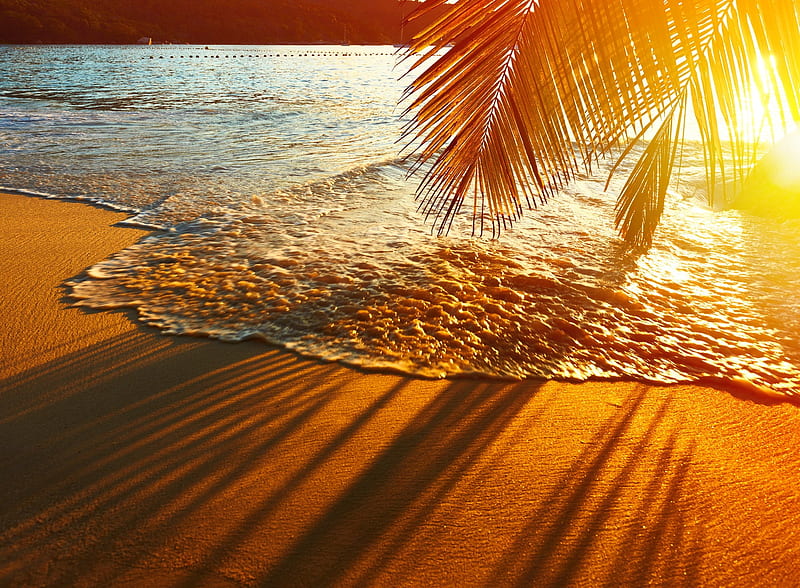 The sun of Florida, exotic, sun, ocean, sunny, bonito, palms, sea, beach, water, Frolida, sunrise, reflection, sands, HD wallpaper