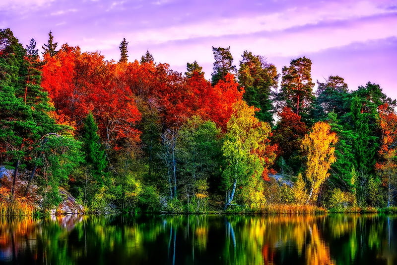 October, fall, pretty, colorful, autumn, glow, falling, shine, bonito ...