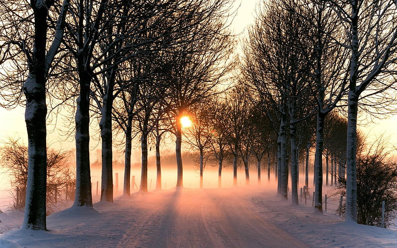 Winter Sunset-Nature, HD wallpaper