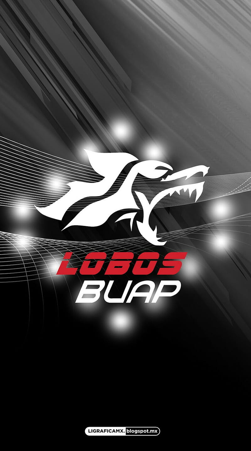 Lobos buap, mexico, esports, HD phone wallpaper | Peakpx