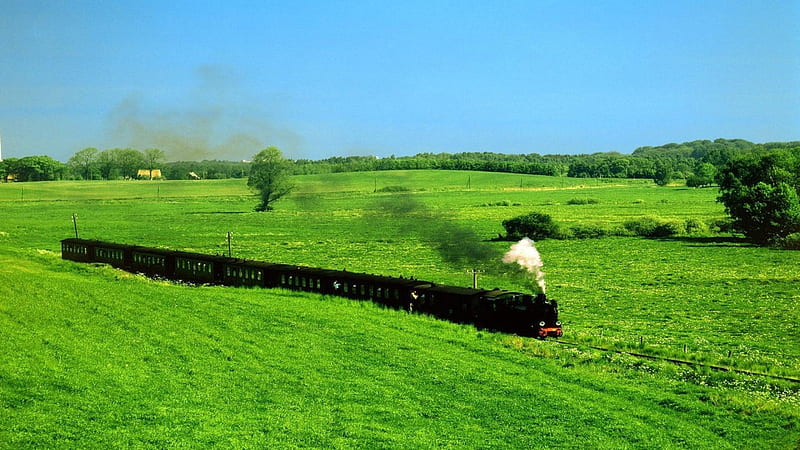 Old Black Train Crossing Green Field, Trains, Black, Green, Old, Fields, Nature, HD wallpaper