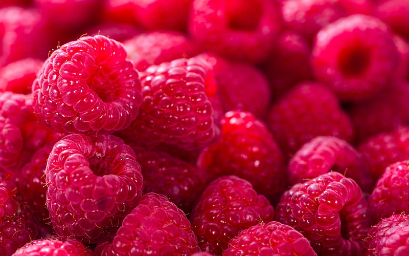 raspberries fresh fruit, berries, close-up, fruits, HD wallpaper