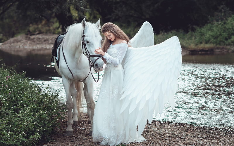 Angel and horse, wings, model, angel, woman, creative, fantays, horse, animal, girl, feather, white, HD wallpaper
