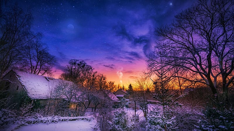 Winter Morning, sky, snow, sunrise, trees, colors, clouds, HD wallpaper