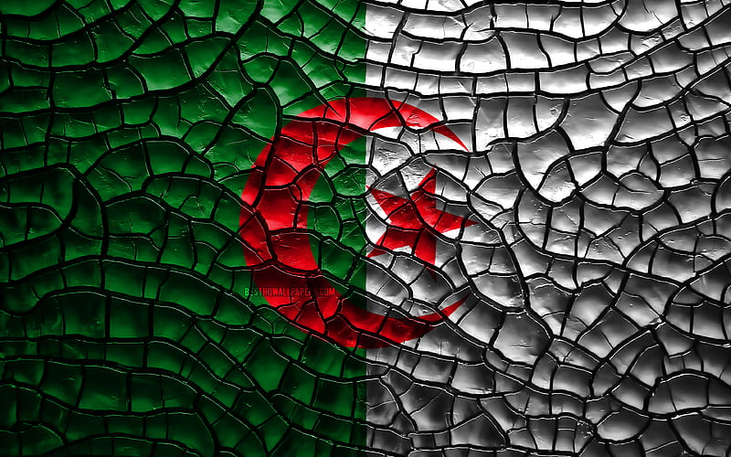 Flag of Algeria cracked soil, Africa, Algerian flag, 3D art, Algeria, African countries, national symbols, Algeria 3D flag, HD wallpaper