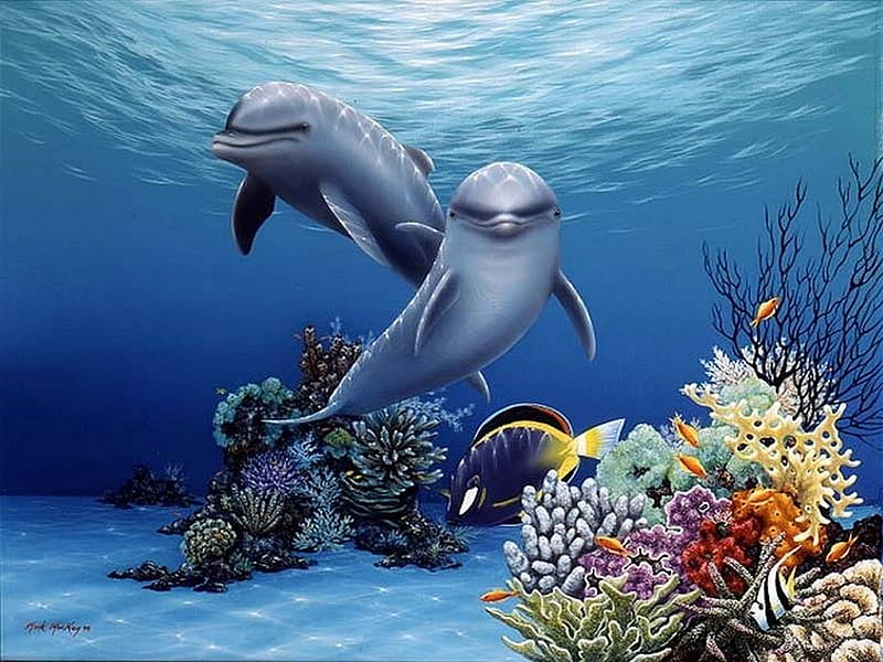 Under the sea, porpoises, water, plants, ocean, HD wallpaper