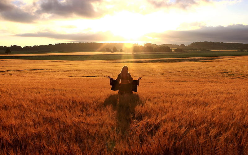 happy woman in golden wheat field-Beautiful summer landscape, HD wallpaper