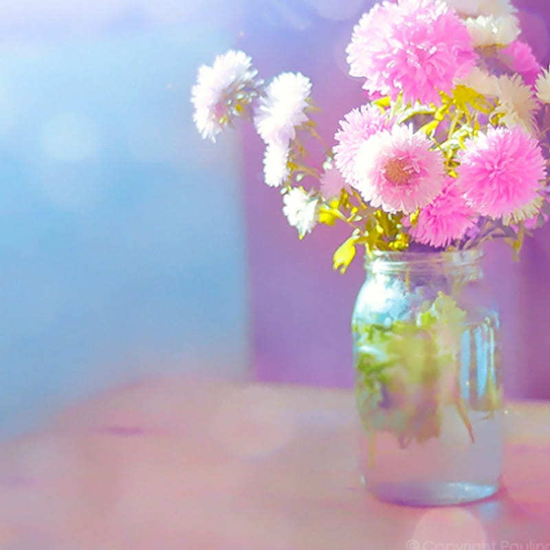Before Noon, vase, flowers, pink, noon, HD wallpaper
