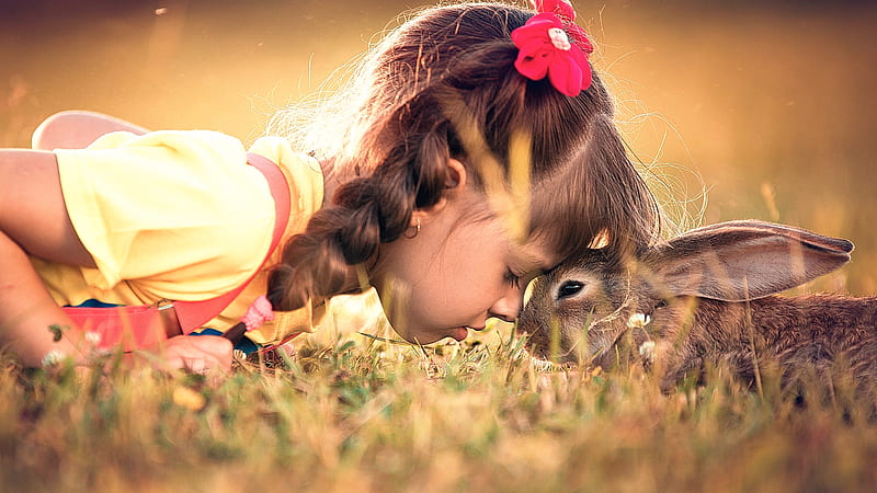 Nose to nose, rabbit, girl, grass, child, animal, HD wallpaper | Peakpx