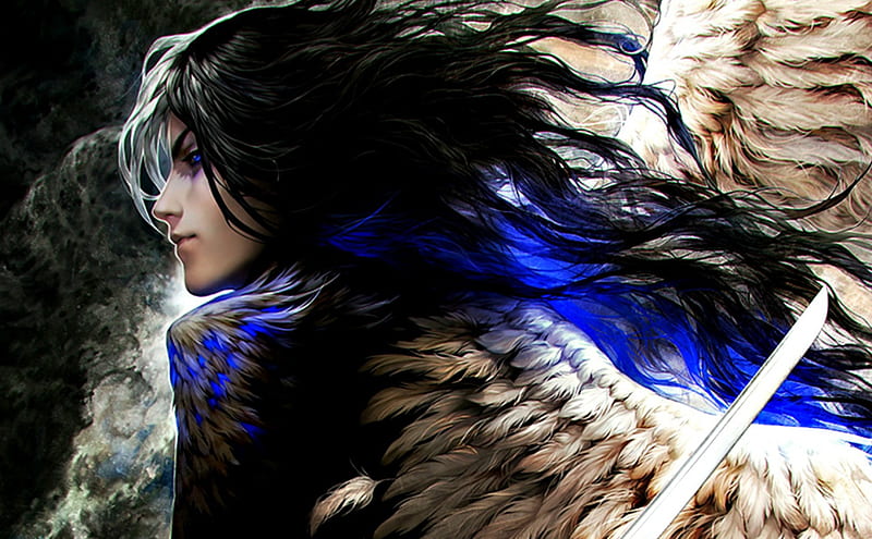 Fallen angel, wings, tincek-marincek, guy, black, man, fantasy, fallen angels, feather, at, white, blue, HD wallpaper