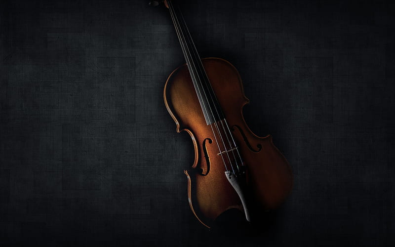violin, darkness, musical instruments, old violin, HD wallpaper